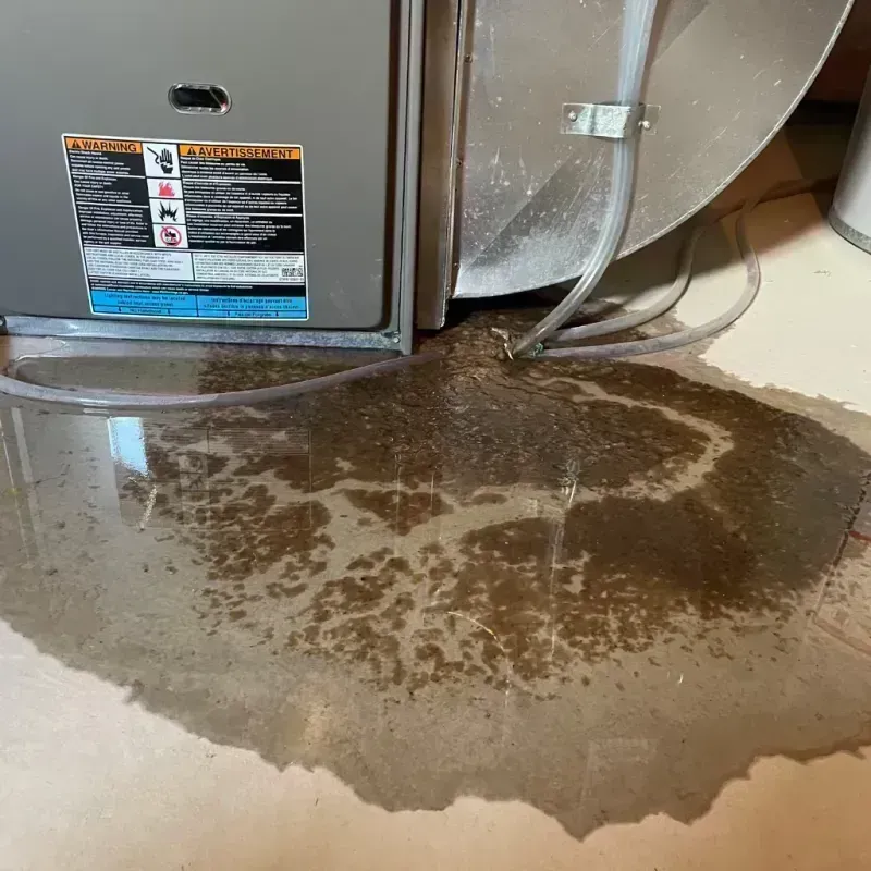 Appliance Leak Cleanup in Lincoln, IL